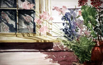 Back Window