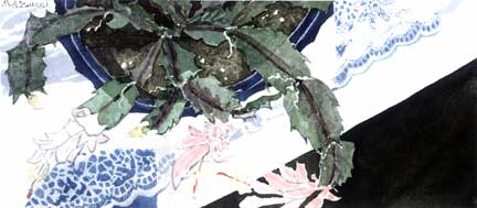 Ryan's Poinsetta